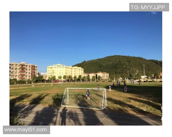 如何设计一个既美观又实用的足球星卡收纳方案提升收藏体验 如何设计一个既美观又实用的足球星卡收纳方案提升收藏体验